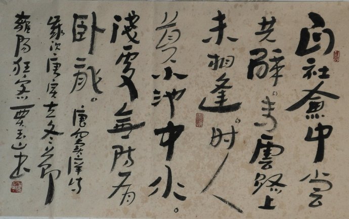 窦庠