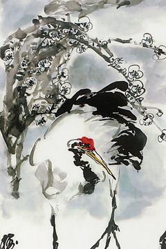 沈君攸